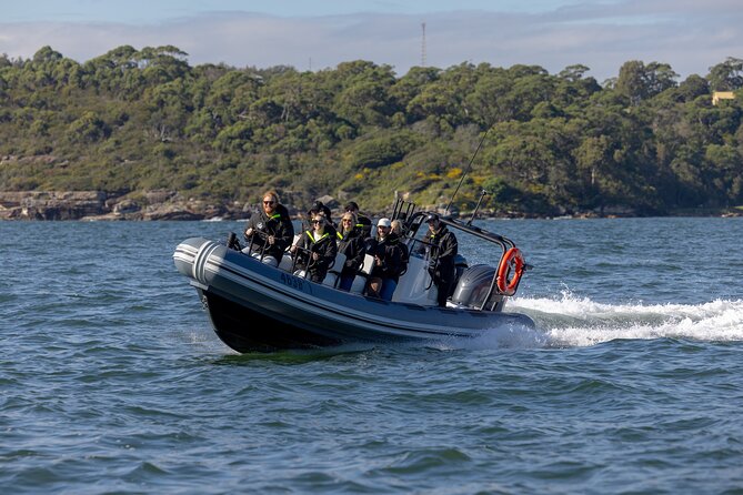 Sydney Whale Watching on Small RIB - Spending up to 85 minutes looking for humpback whales