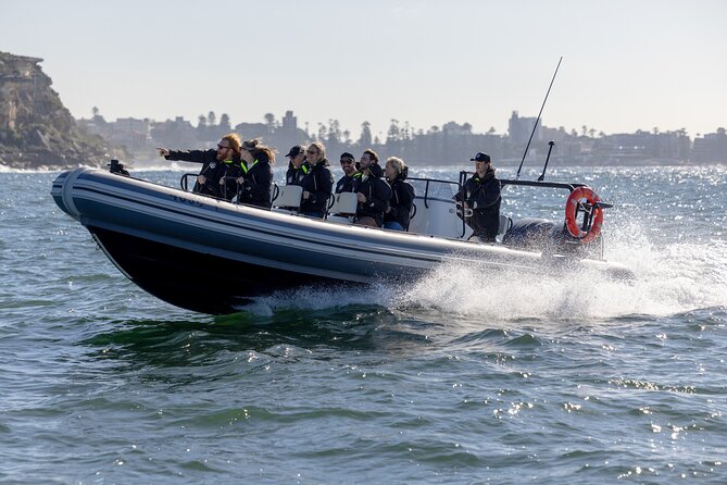 Sydney Whale Watching on Small RIB - What the crew adds to the experience