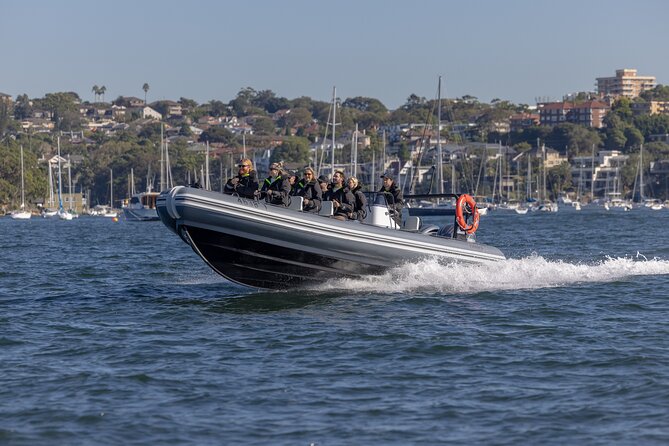 Sydney Whale Watching on Small RIB - The return ride to Circular Quay
