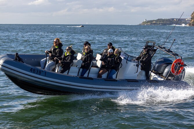 Sydney Whale Watching on Small RIB - Who should book this small-boat outing?