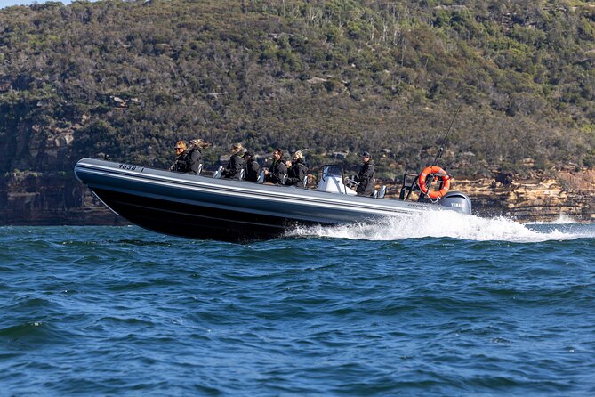 Sydney Whale Watching on Small RIB - Practical details before you book