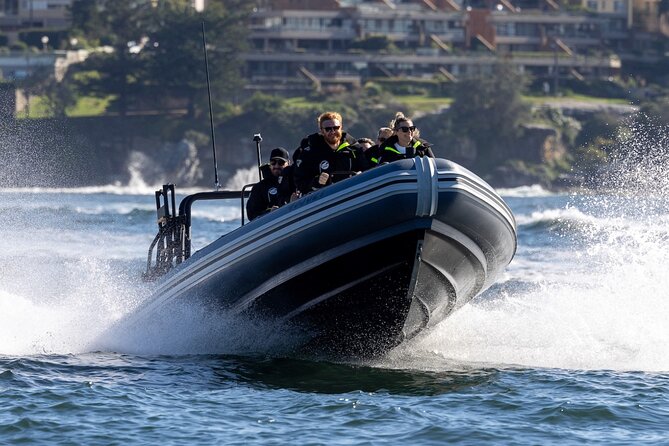 Sydney Whale Watching on Small RIB - Passing through Sydney Heads