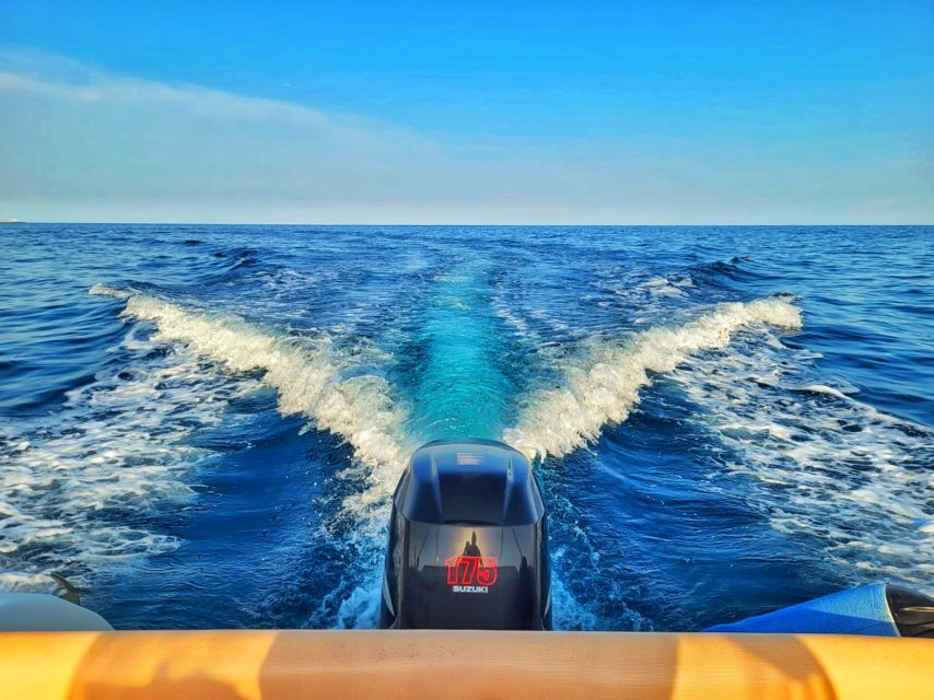 Taggia: Sanremo Sightseeing Speedboat Tour with Swim Stops - Is $801.75 a fair price?