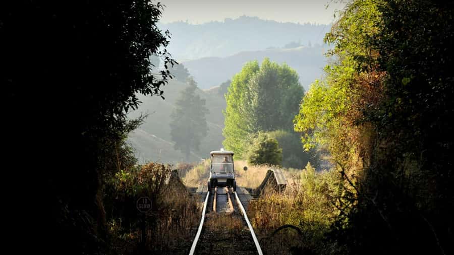 Taumarunui: Railcart and Jetboat Adventure with lunch - Why this Forgotten World day trip is different