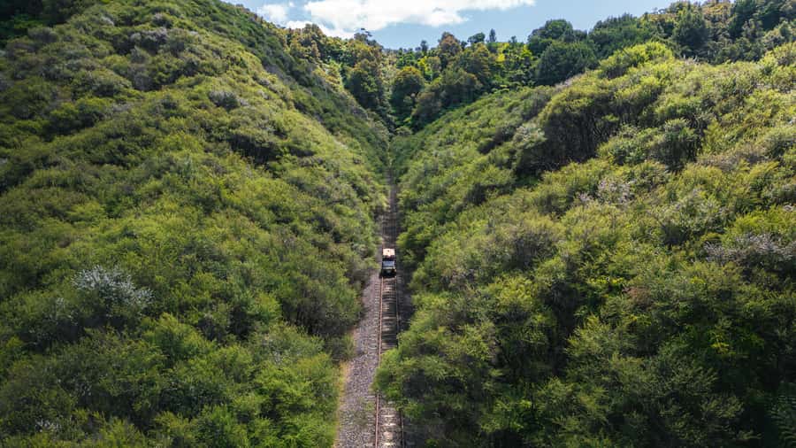Taumarunui: Railcart and Jetboat Adventure with lunch - Starting at the Forgotten World Motel