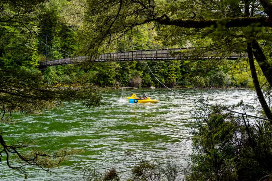 Te Anau: River Jet Boat and Bike Ride Tour with Local Guide - Who will enjoy this most