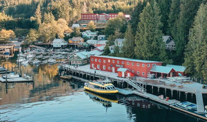 Telegraph Cove: 3-Hour Whale Watching Tour in a Zodiac Boat - Leaving Telegraph Cove in a 12-seat Zodiac