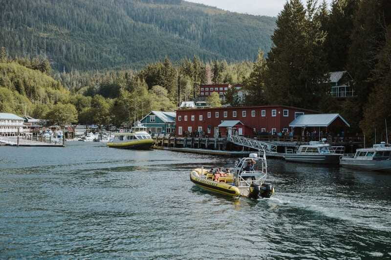Telegraph Cove: 3-Hour Whale Watching Tour in a Zodiac Boat - Why Telegraph Cove is a strong base