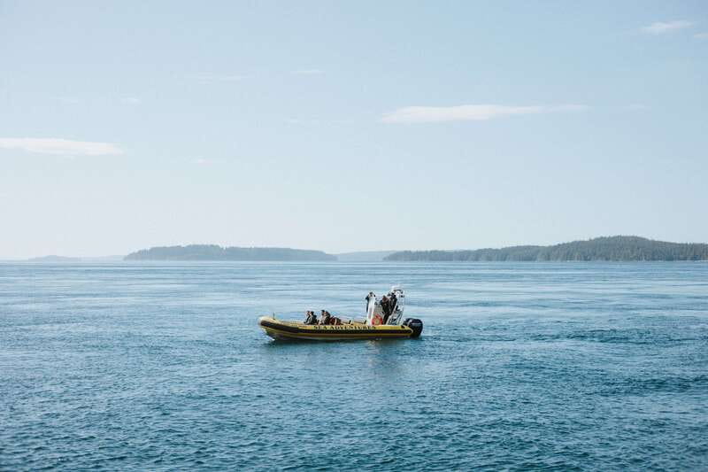 Telegraph Cove: 3-Hour Whale Watching Tour in a Zodiac Boat - Comfort, safety, and what to pack