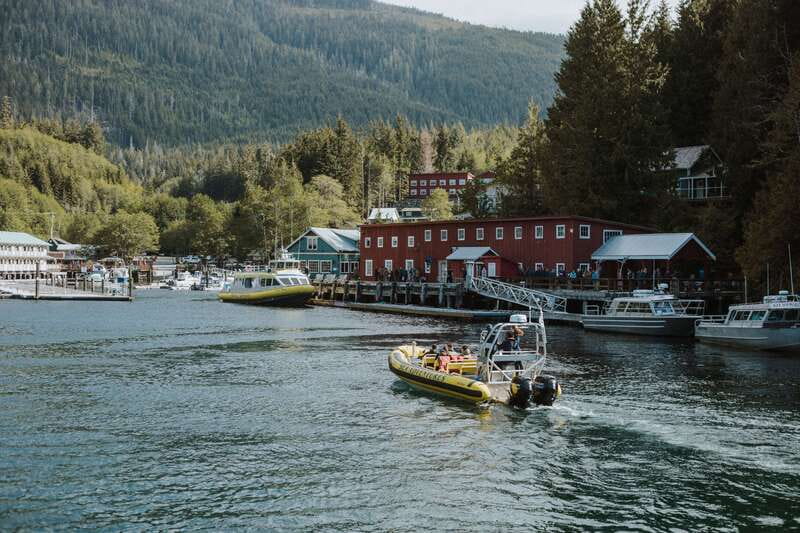Telegraph Cove: 3-Hour Whale Watching Tour in a Zodiac Boat - Three hours searching the North Island waters