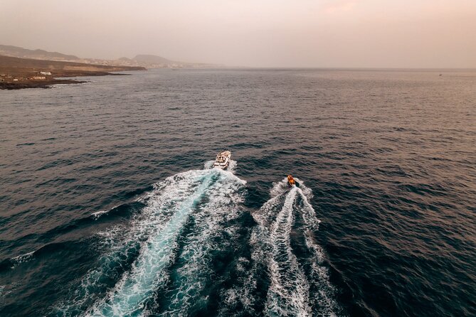Tenerife Motor Boat Whale Watching & Snorkeling Experience - Looking for Pilot Whales and Dolphins