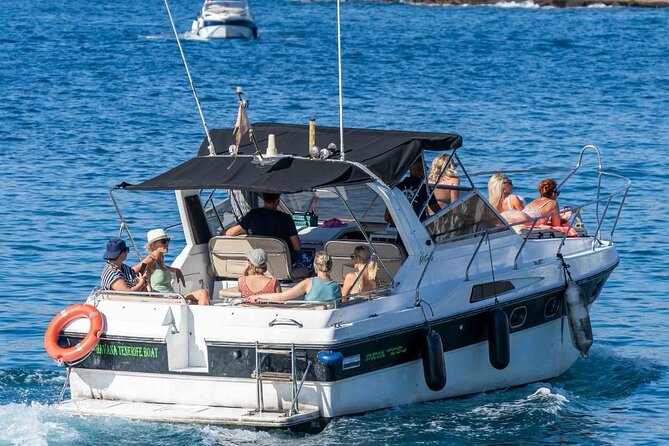 Tenerife Motor Boat Whale Watching & Snorkeling Experience - What the Small Group Means for Comfort