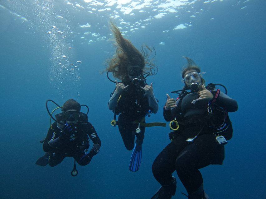 Tenerife: Puerto Colon Certified Scuba Dive by Speed Boat - The speedboat ride adds real scenery