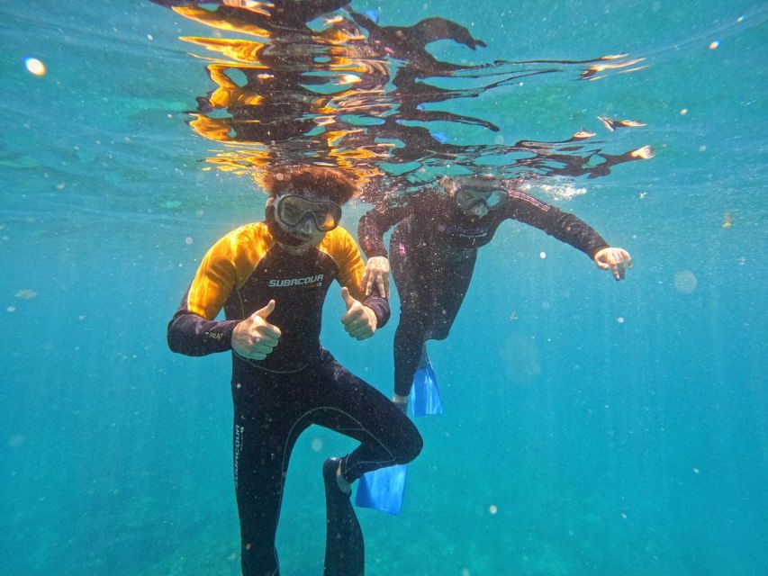 Tenerife: Puerto Colon Snorkel Safari by Speed Boat - What happens during the 30-minute preparation