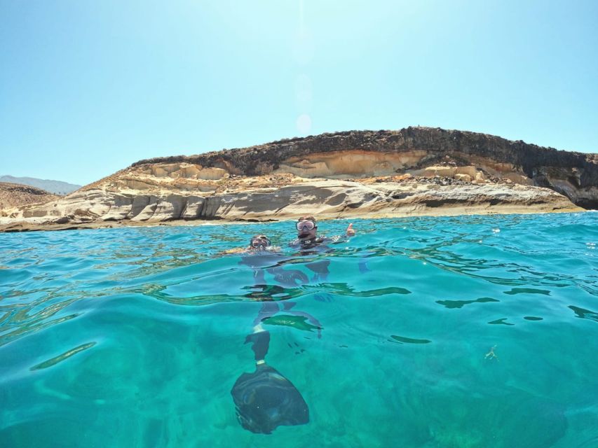 Tenerife: Puerto Colon Snorkel Safari by Speed Boat - Around an hour in the water