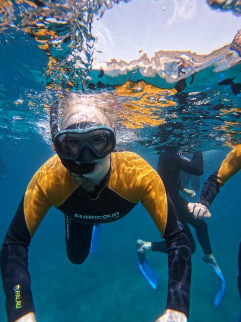 Tenerife: Puerto Colon Snorkel Safari by Speed Boat - A calm choice for first-time snorkelers