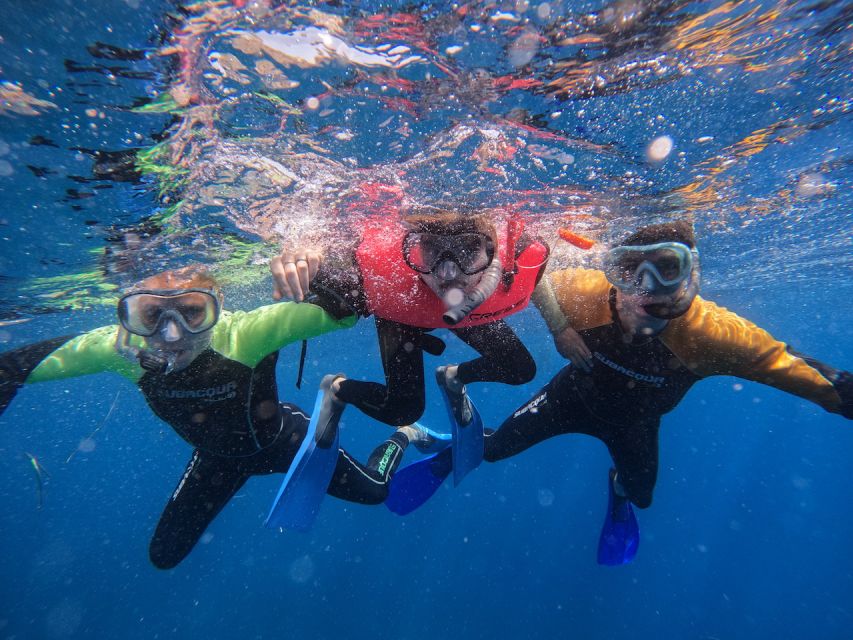 Tenerife: Puerto Colon Snorkel Safari by Speed Boat - Practical details that make the day easier