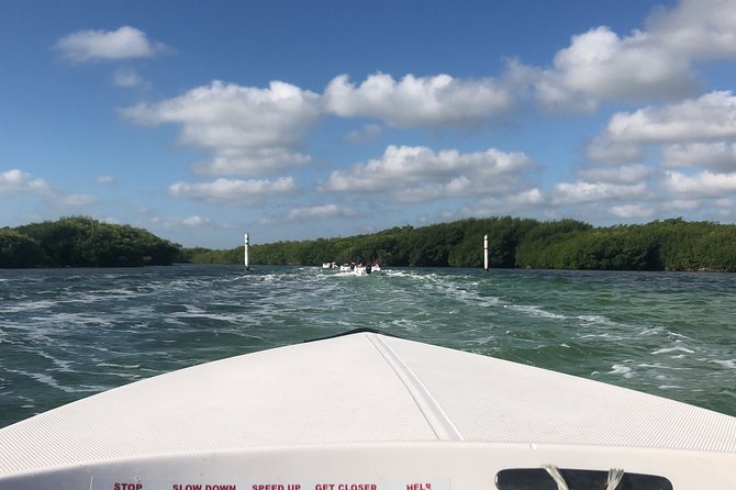 The Best Speedboat Tour In Cancun through Nichupte Lagoon, Snorkel included. - Driving through Nichupte Lagoon