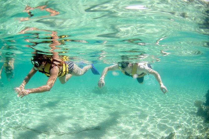 The most Intrepid Speedboat Adventure in Cancun Snorkel included - Showers, lockers, and the useful details