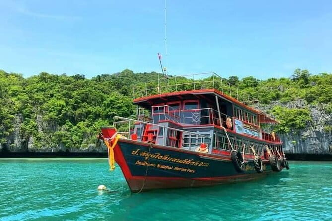 The Pigs Island snorkeling trip from Koh Samui by Speedboat - Who will enjoy this outing most