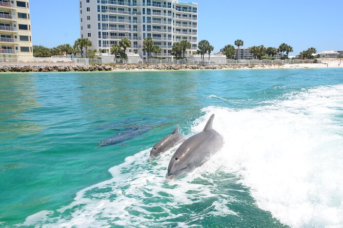 Thriller Speedboat Dolphin Tours in Destin Florida - Starting at Slip A in Destin Harbor