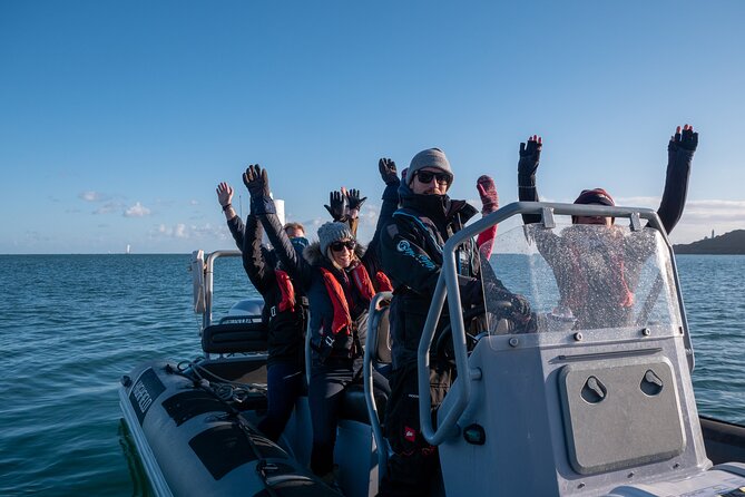 Torquay Coastal RIB Seafari - Why the ride feels more like an attraction than transport