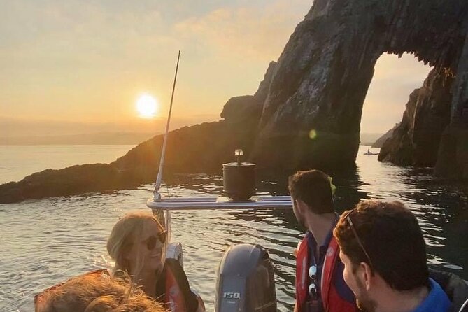 Torquay Coastal RIB Seafari - Dolphins, porpoises, and the luck factor