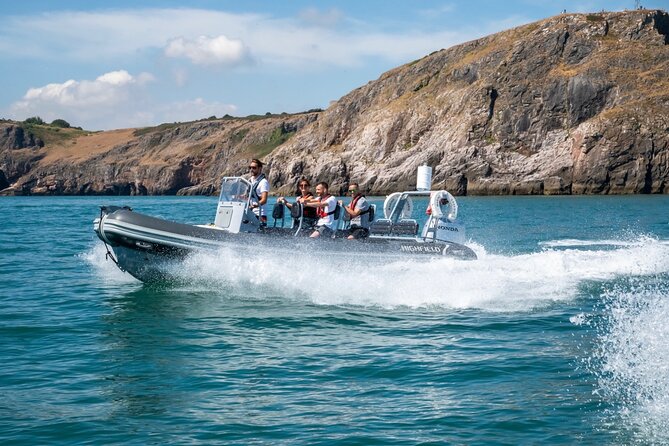 Torquay Coastal RIB Seafari - What $51.30 buys you