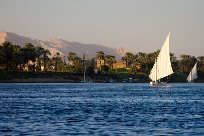 Trip To Nubian Village by motorboat From Aswan - Should you book the Nubian Village trip?