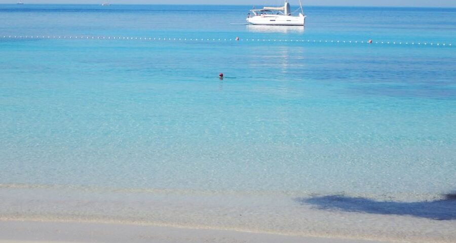 Trogir: White Lagoon, Maslinica & Blue Lagoon Speedboat Tour - From Trogir to the outer islands