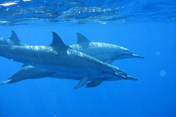 Ultimate Na Pali Coast Zodiac Boat Snorkeling and Sea Cave Tour - Cruising the first stretch of Nā Pali Coast