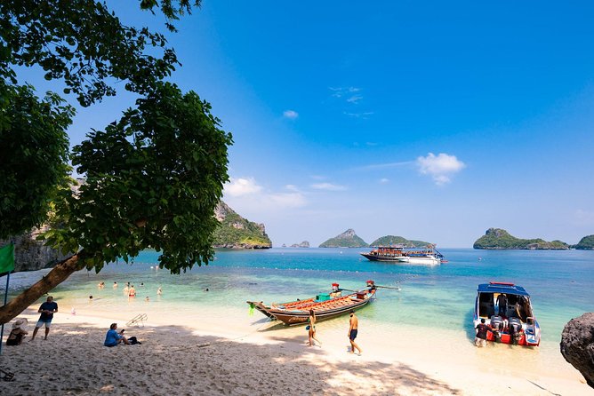 Unspoiled Island Escape: Private Speedboat Tour from Koh Samui - Pig Island is charming, but not deserted