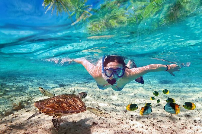 V.I.P Snorkeling & Fishing Tour ( Speed Boat ) Minimum 02 people - Key points to know before booking