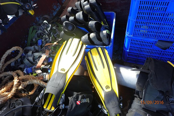 V.I.P Snorkeling & Fishing Tour ( Speed Boat ) Minimum 02 people - Hon Mun: one hour of snorkeling in protected water