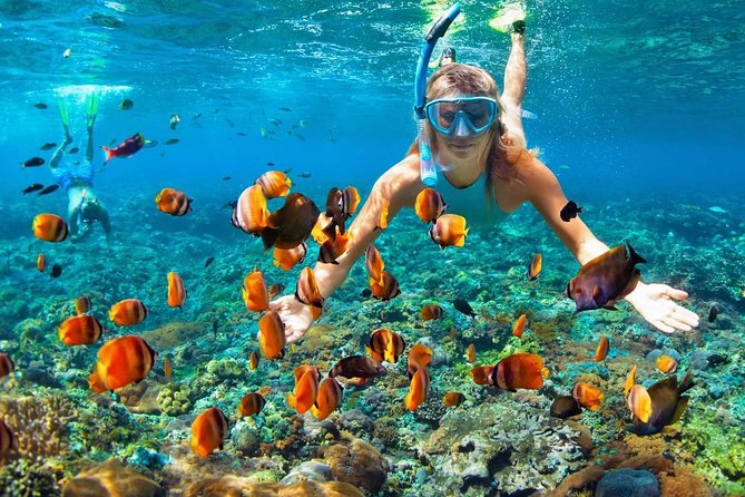 V.I.P Snorkeling & Fishing Tour ( Speed Boat ) Minimum 02 people - Booking, timing, and cancellation details