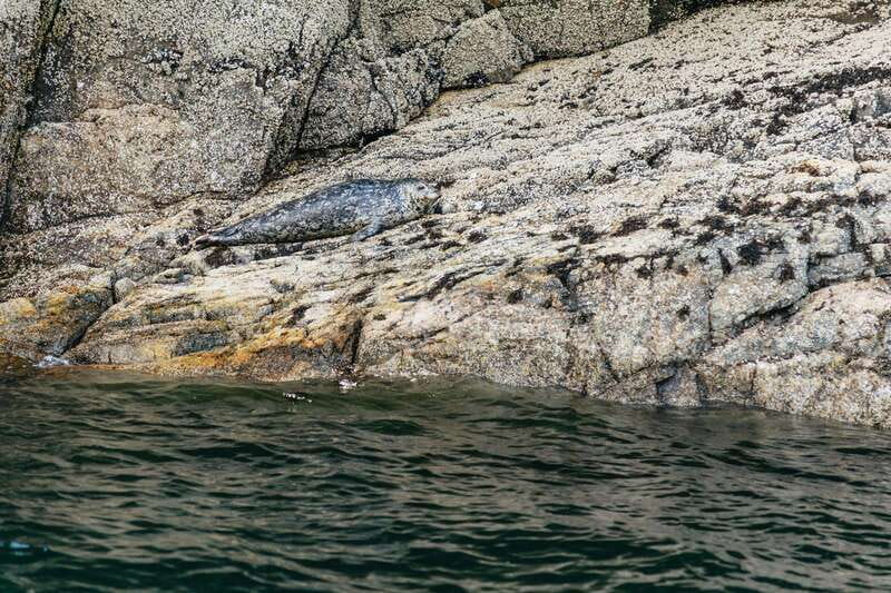 Vancouver: Indian Arm and Granite Falls Zodiac Boat Tour - Key points at a glance