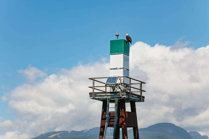 Vancouver: Indian Arm and Granite Falls Zodiac Boat Tour - Is $116 a fair price?