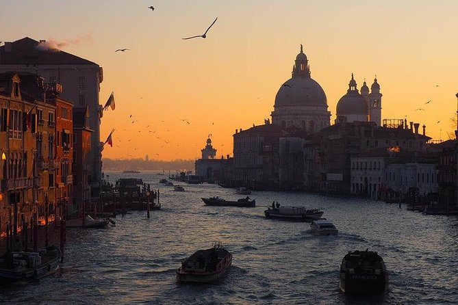 Venice Marco Polo Airport Private Arrival Transfer via Motorboat - Meet and greet at Marco Polo Airport