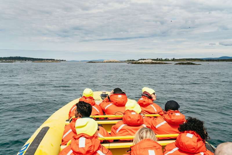 Victoria: Whale Watching Adventure in a Zodiac Boat - Leaving Victoria’s Inner Harbour