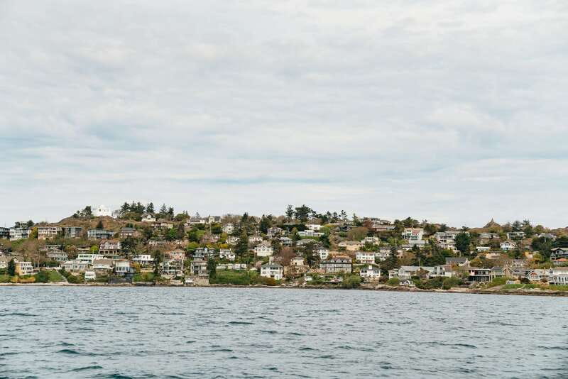Victoria: Whale Watching Adventure in a Zodiac Boat - More Than Whales in the Salish Sea