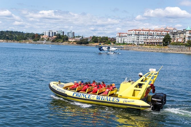 Victoria Zodiac Boat Whale Watching Adventure - Is $154.08 a fair price?