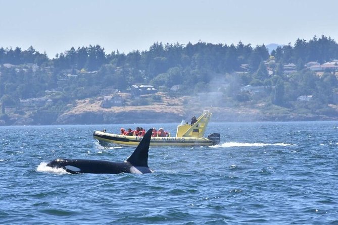 Victoria Zodiac Boat Whale Watching Adventure - Suiting up for three hours on the water