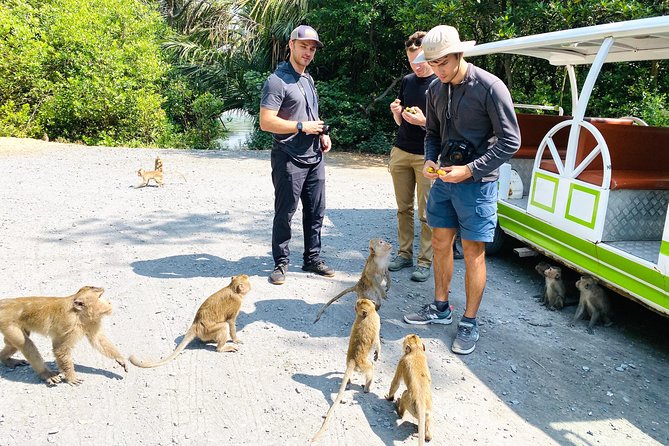 VIP Tour in Vam Sat: Can Gio Mangrove Forest by SpeedBoat - Lunch, cake, fruit, and the practical comforts