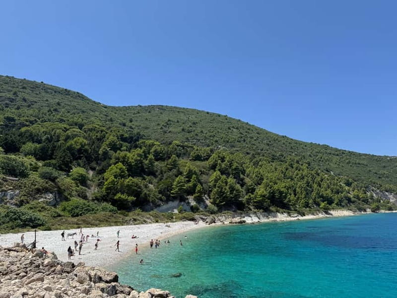 Vlore: Sazan Island, Haxhi Ali Cave & Karaburun by Speedboat - Sazan Island: military ruins and a quiet beach