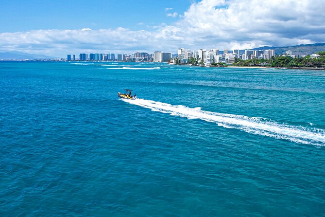 Whale Watching Adventure -Speed Boat & Small Group - Turtles, fish, dolphins, and the view toward Diamond Head