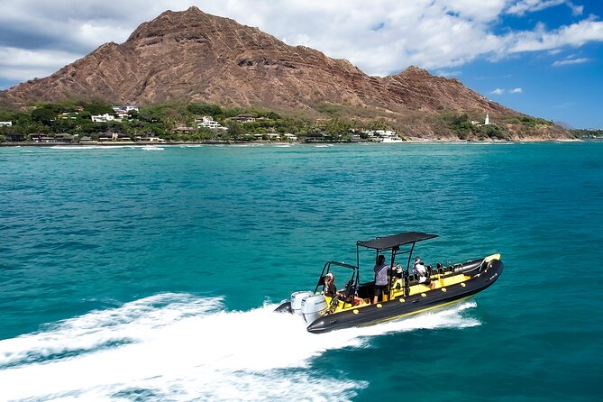 Whale Watching Adventure -Speed Boat & Small Group - Who will enjoy this boat trip most?