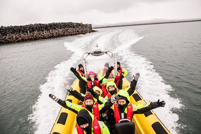 Whale Watching by RIB Speedboat from Downtown Reykjavik - Key points to know before you book