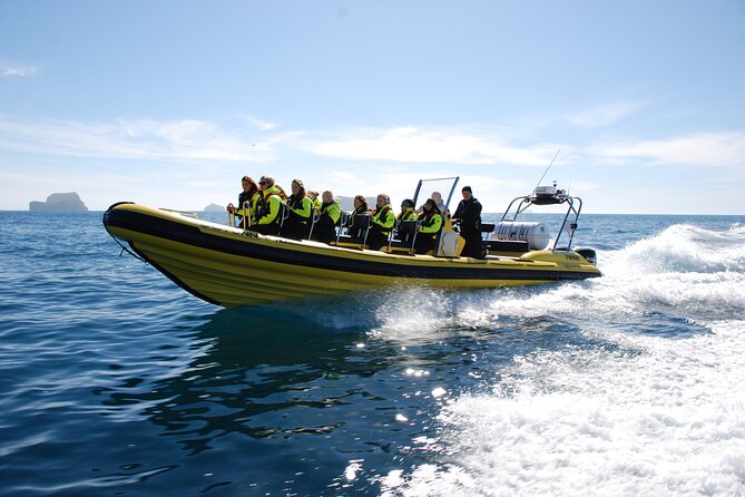 Whale Watching by RIB Speedboat from Downtown Reykjavik - Guides, captains, and the value of a small group