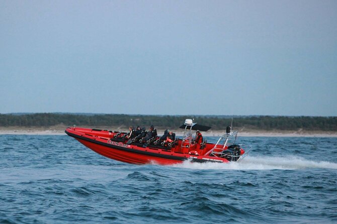 Whale Watching by RIB Speedboat from Downtown Reykjavik - Is $145 a fair price?