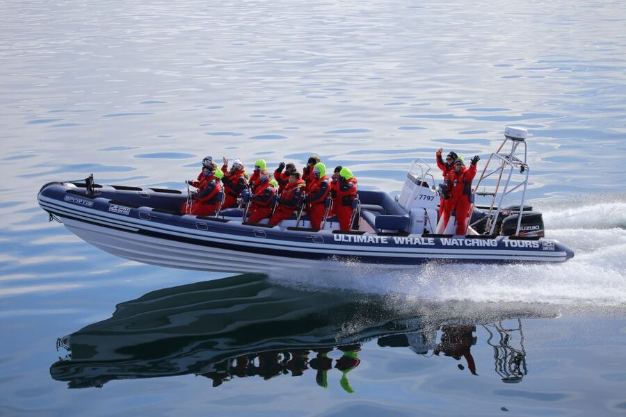 Whale Watching in Reykjavik by Speedboat - Leaving Reykjavik Old Harbour by RIB